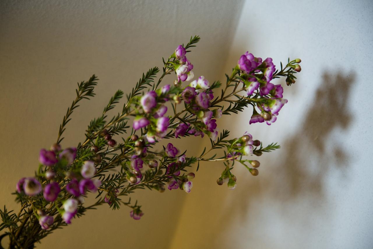 Tabano Ristorante-Casolare Bed & Breakfast เยซี ภายนอก รูปภาพ